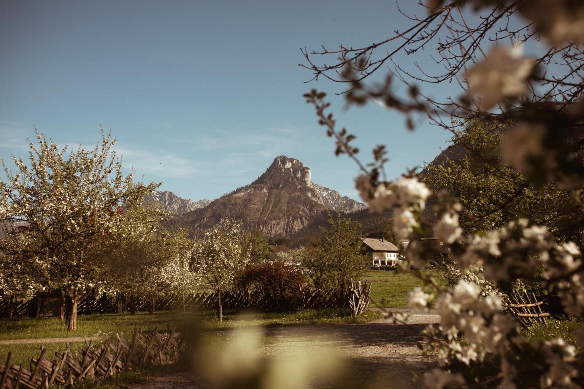 Primushaeusl Gaestehaus Strobl Exteriér fotografie