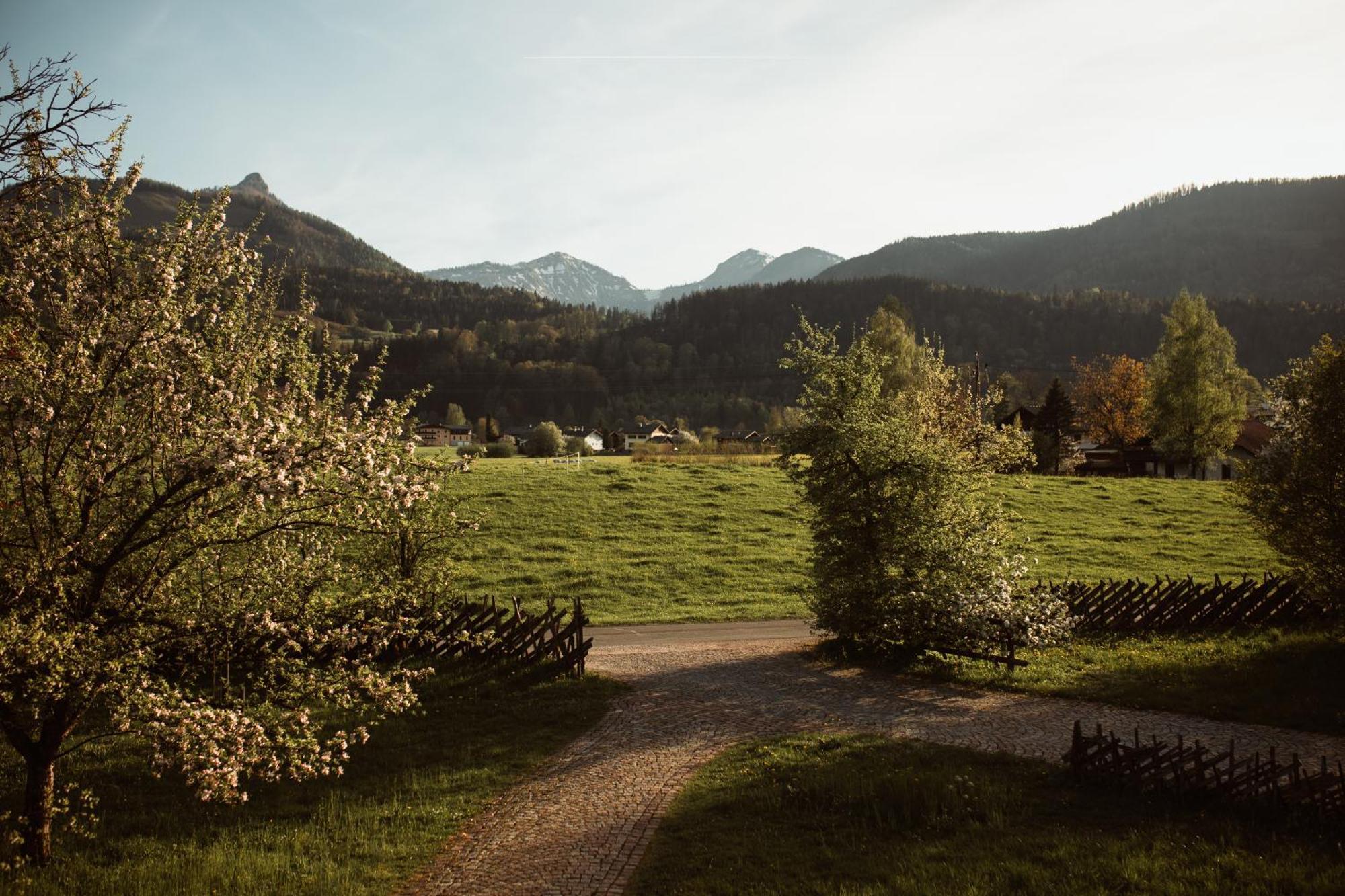 Primushaeusl Gaestehaus Strobl Pokoj fotografie